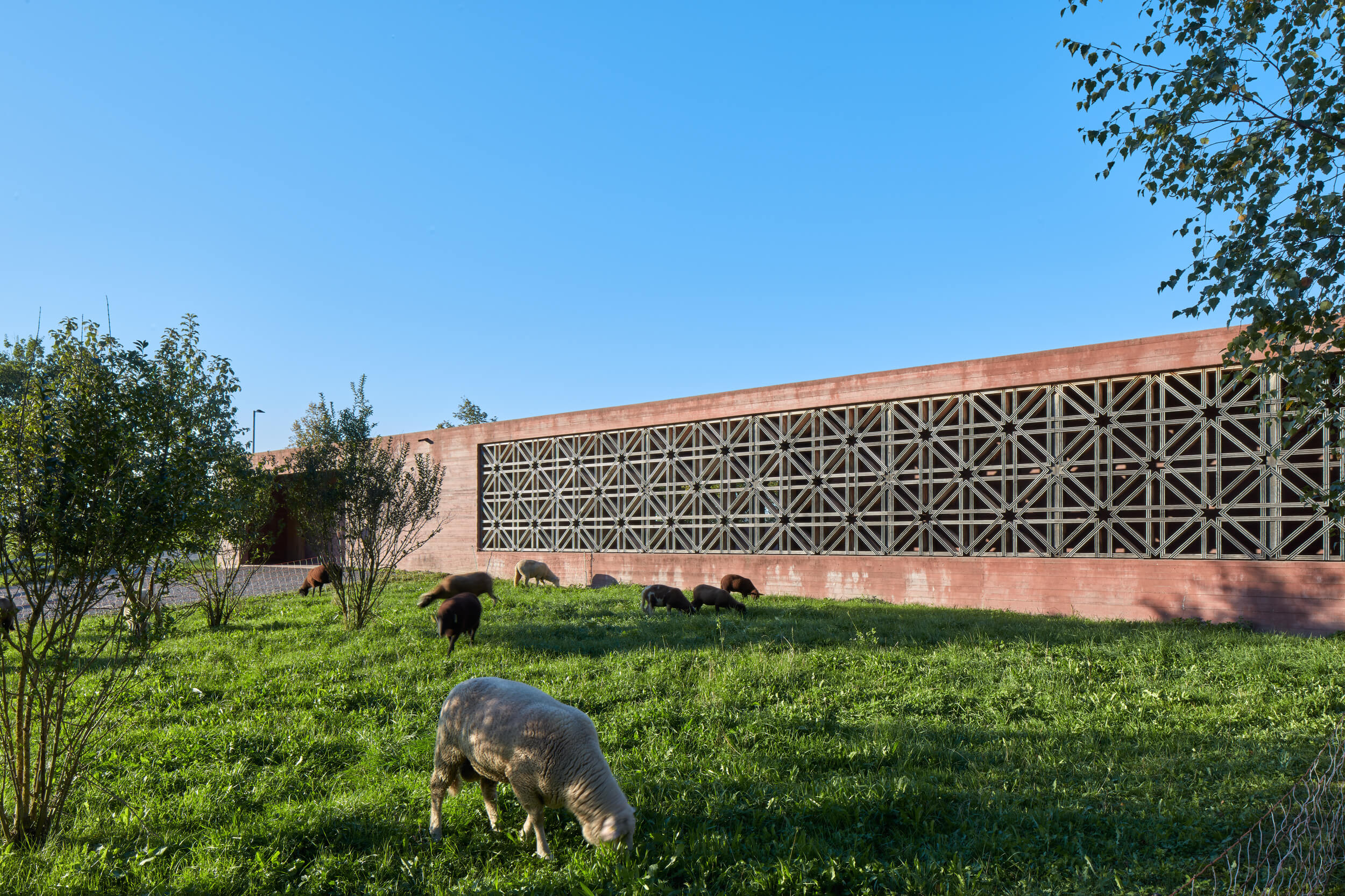 Federico_Covre_Bernardo_Bader_Islamisher_Friedhof_Altach_AT_2019_07