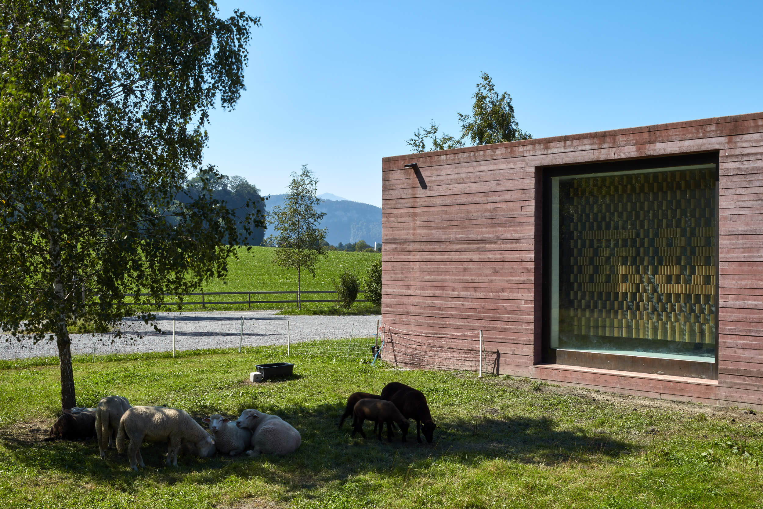 Federico_Covre_Bernardo_Bader_Islamisher_Friedhof_Altach_AT_2019_09