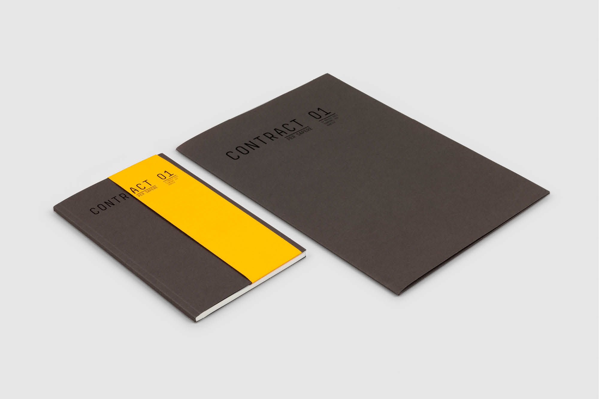 Federico_Covre_Bandiera_portfolio_03
