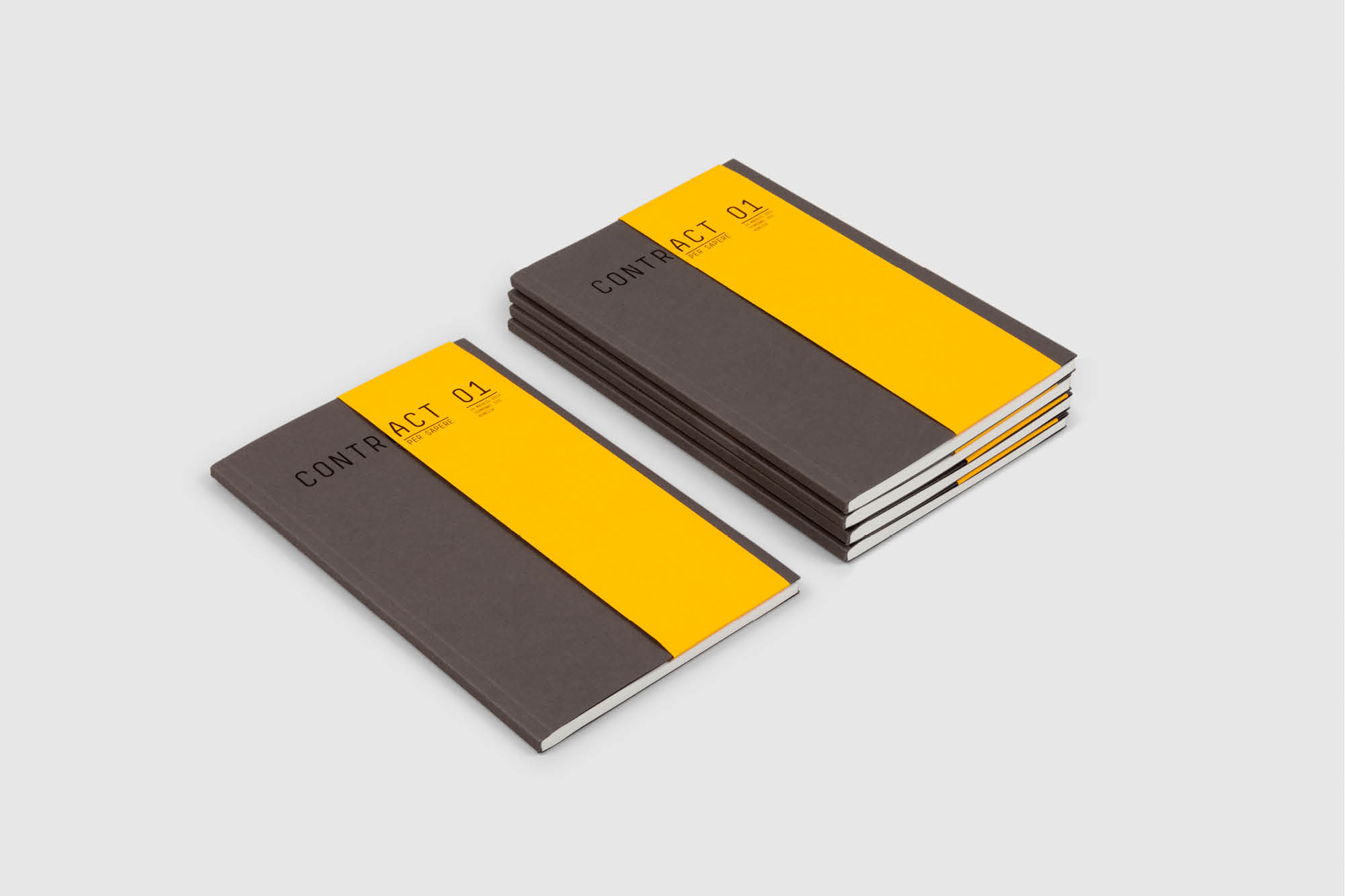 Federico_Covre_Bandiera_portfolio_04