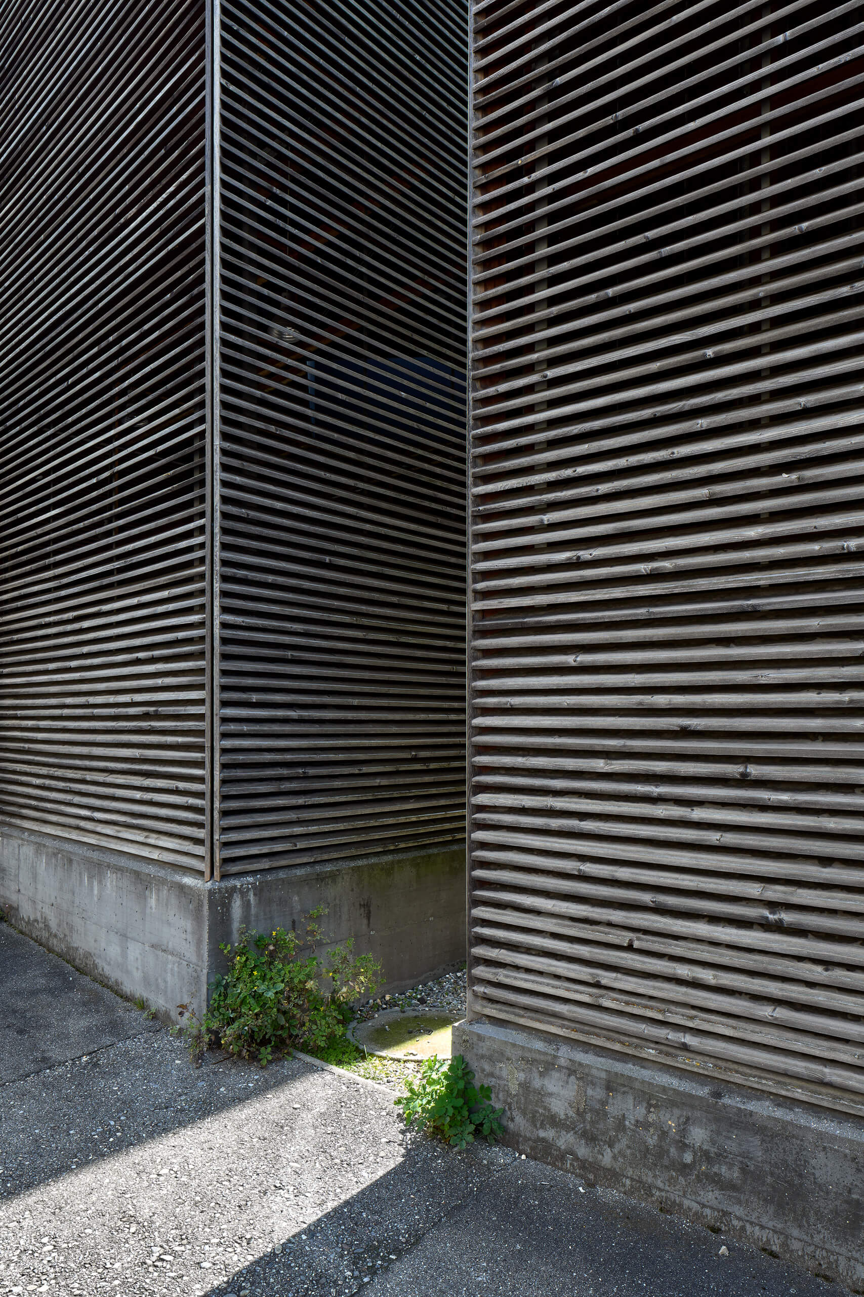 Shelters For Roman Archaeological Site – Peter Zumthor –
