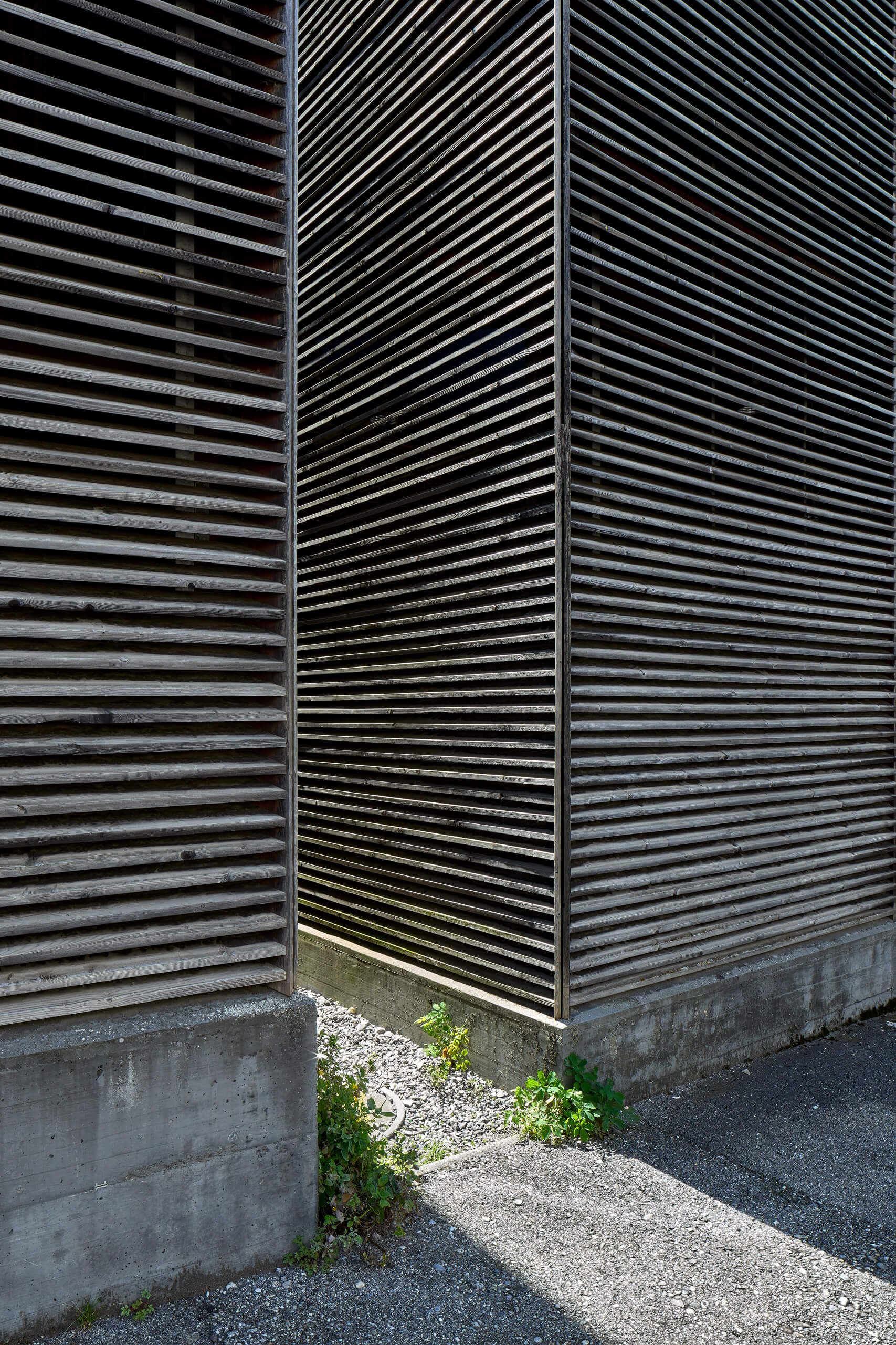Shelters For Roman Archaeological Site – Peter Zumthor –