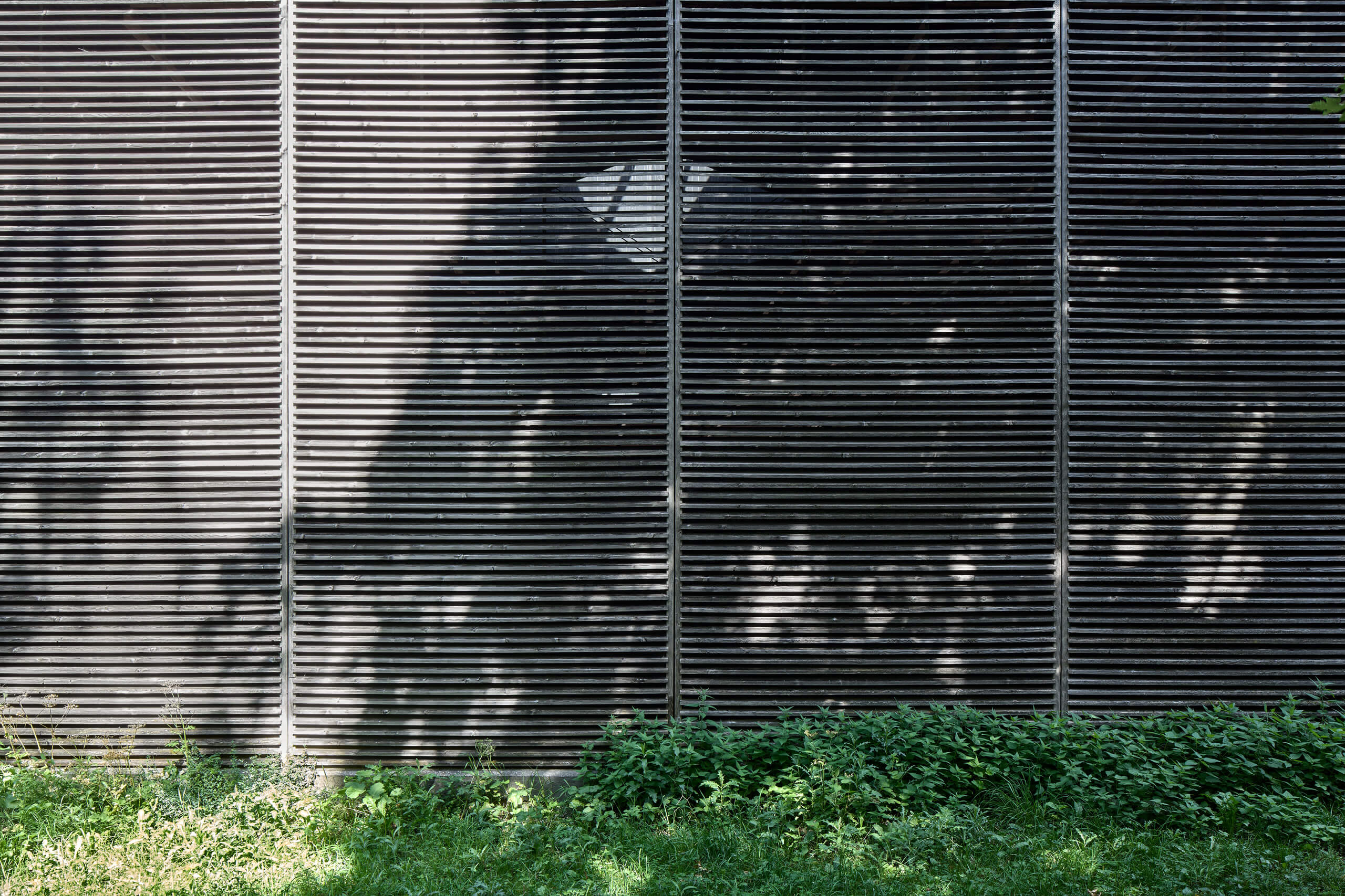 Shelters For Roman Archaeological Site – Peter Zumthor –