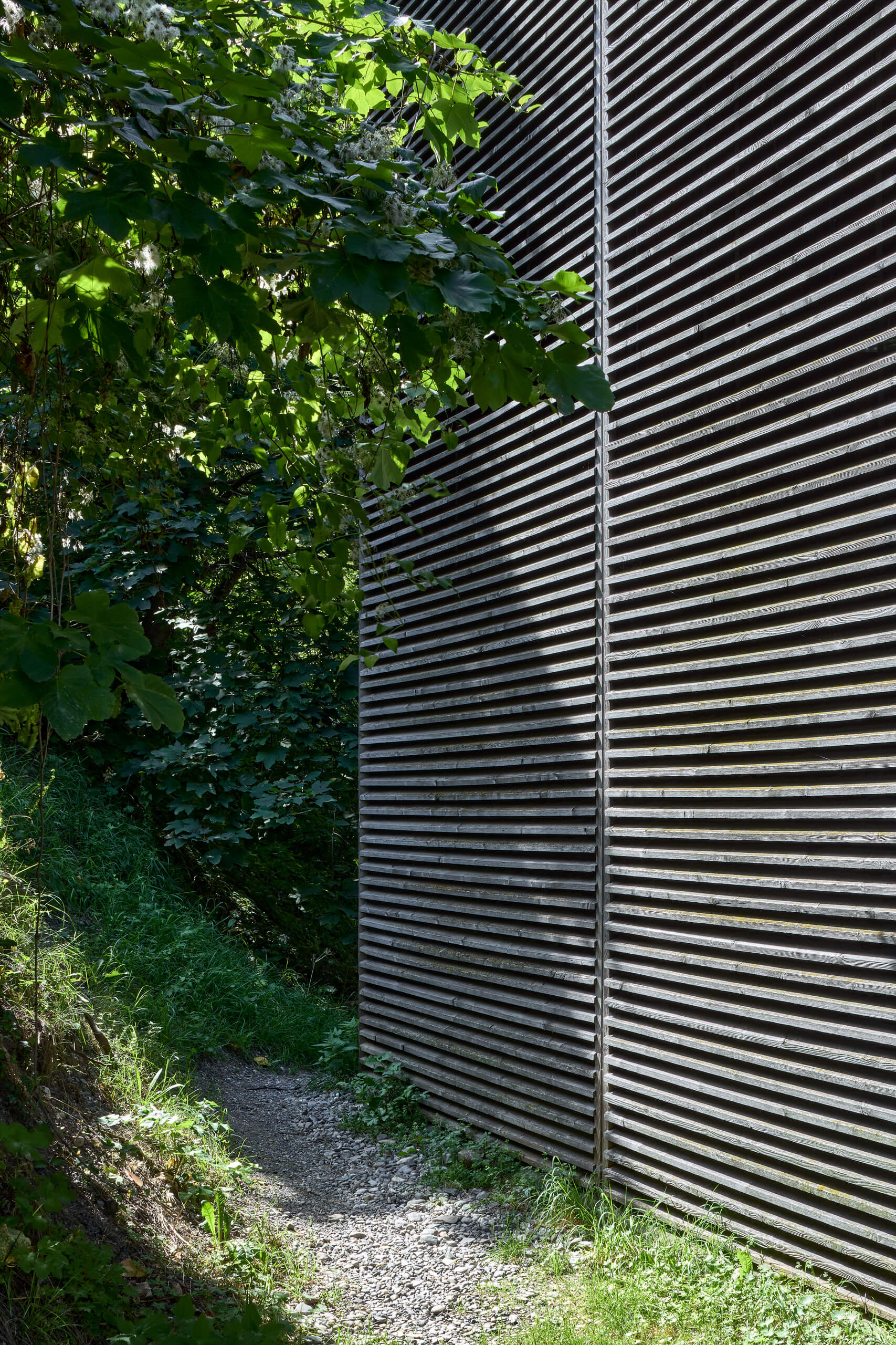 Shelters For Roman Archaeological Site – Peter Zumthor –