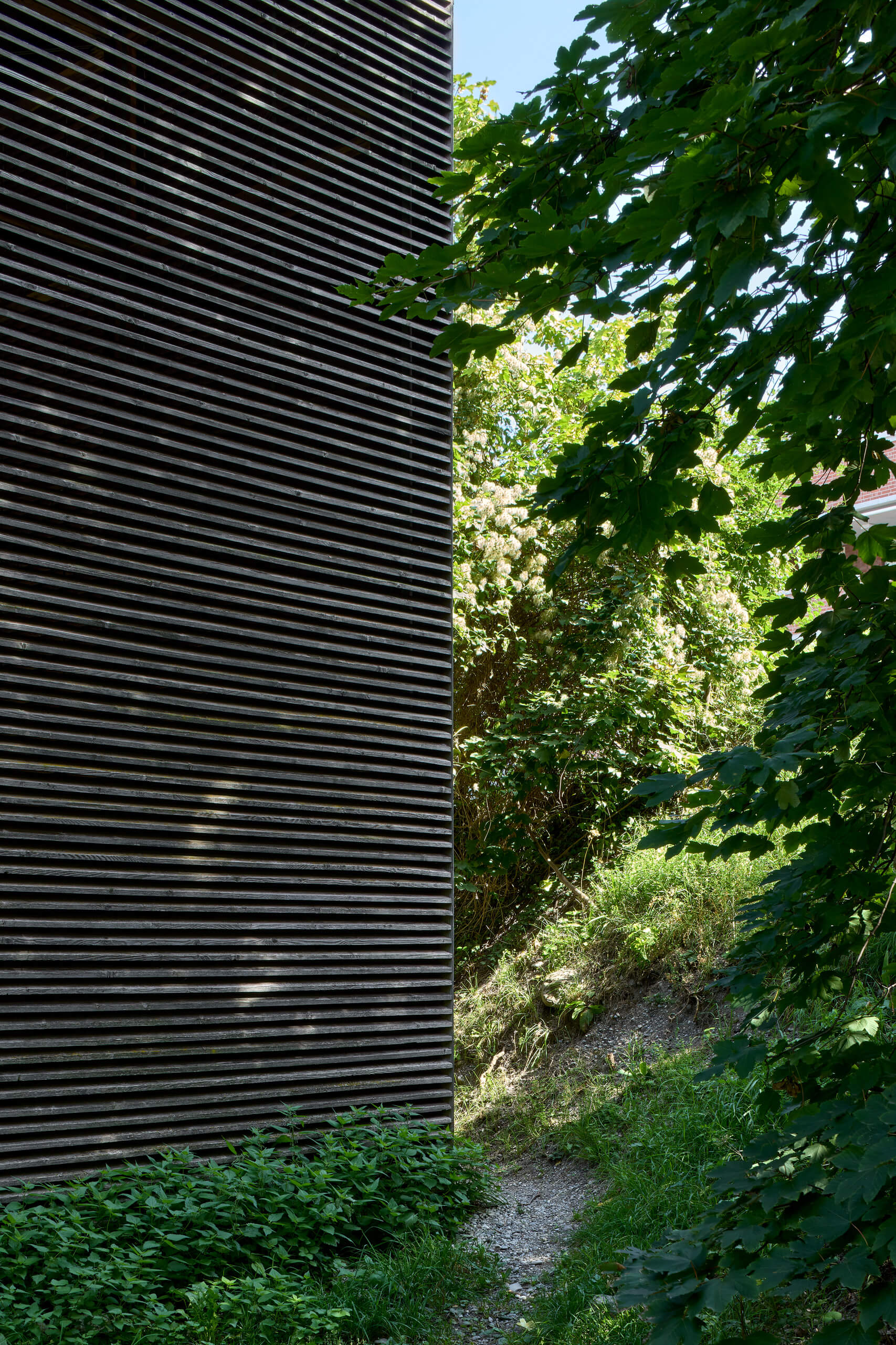 Shelters For Roman Archaeological Site – Peter Zumthor –