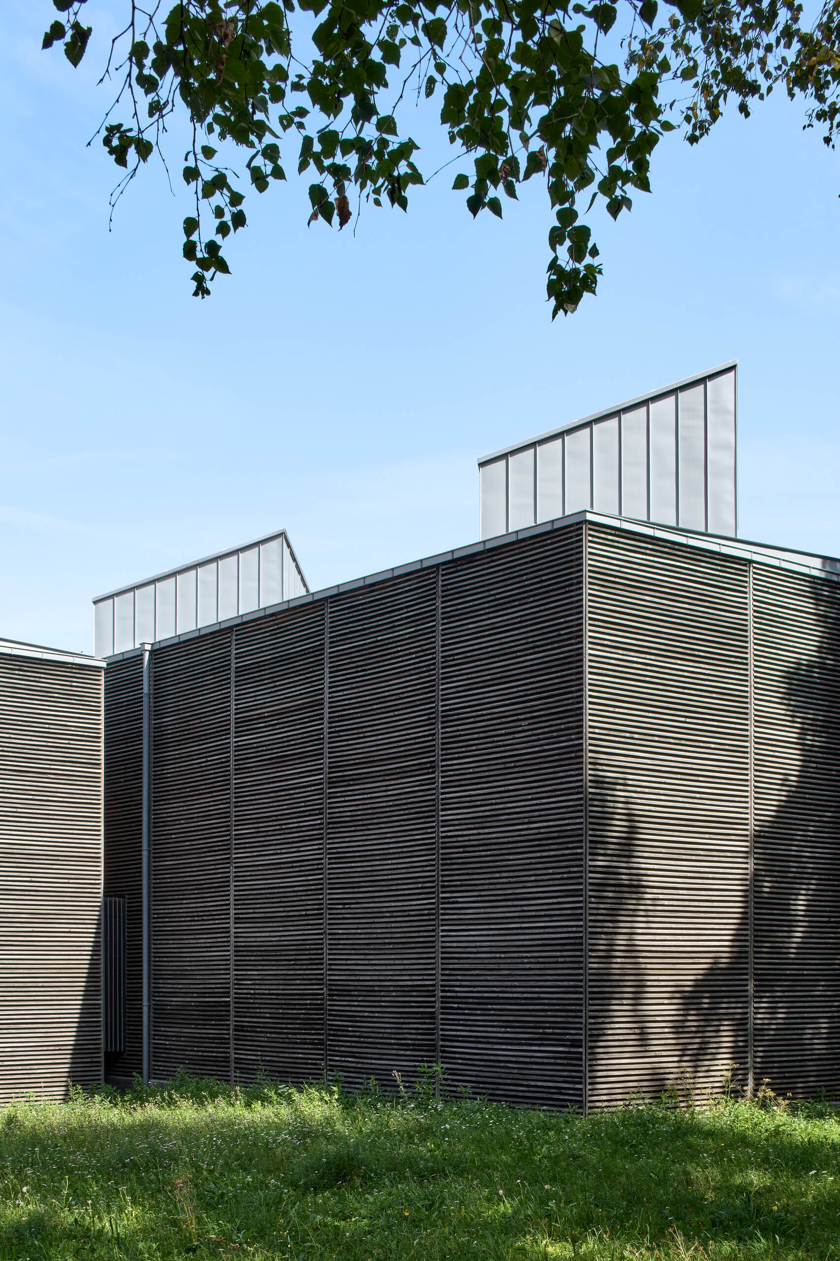 Shelters For Roman Archaeological Site – Peter Zumthor –