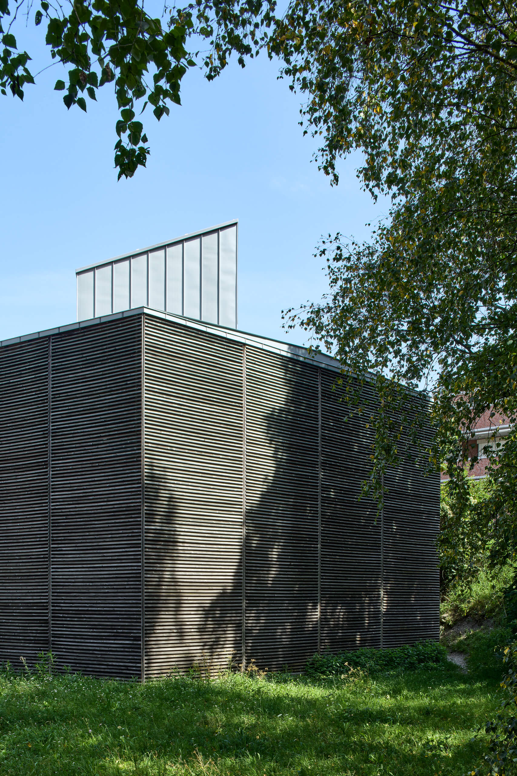 Shelters For Roman Archaeological Site – Peter Zumthor –