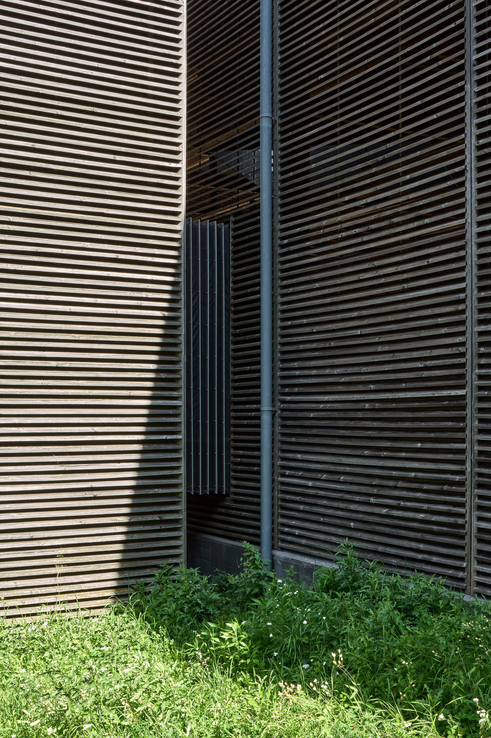 Shelters For Roman Archaeological Site – Peter Zumthor –