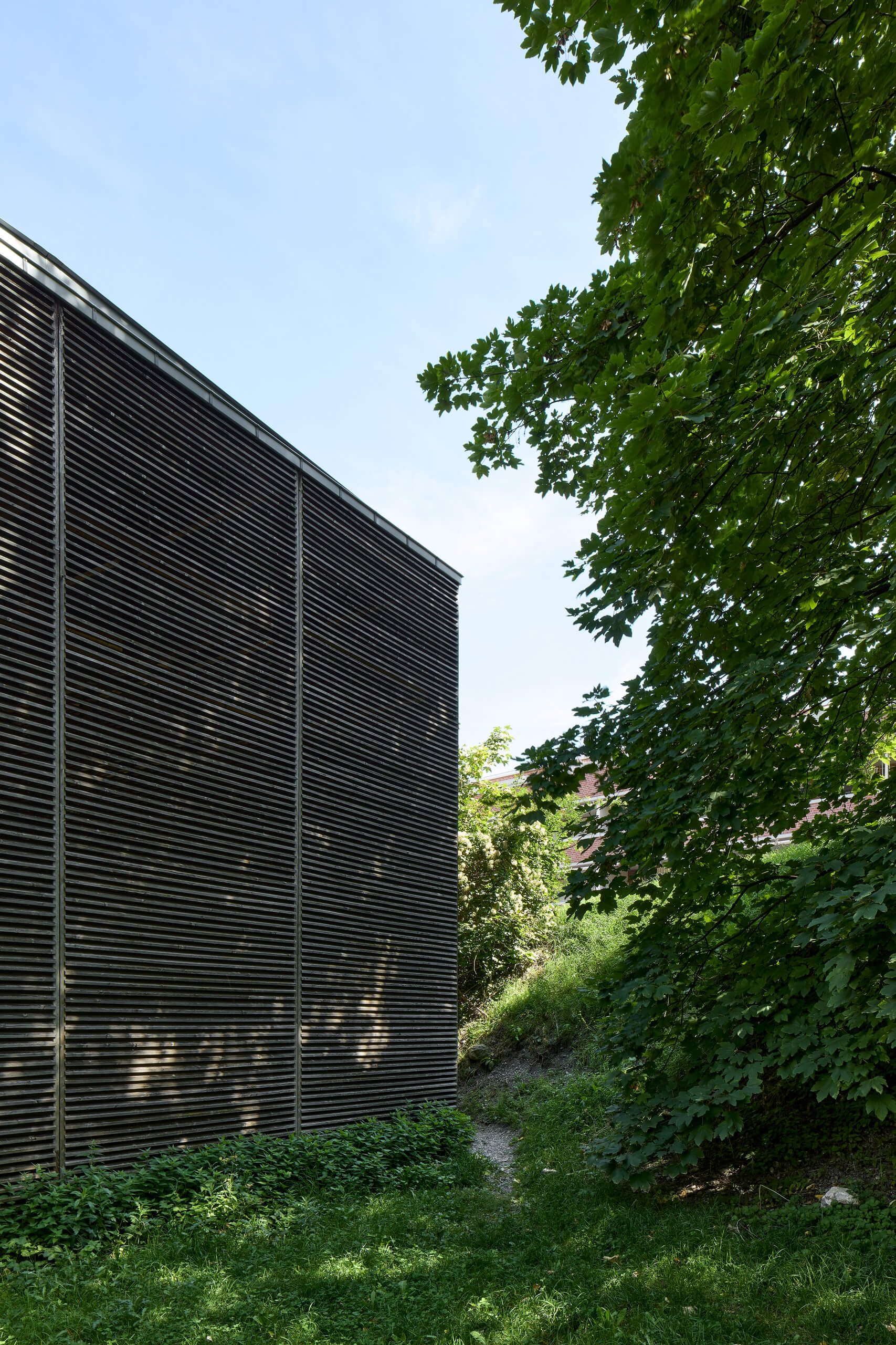 Shelters For Roman Archaeological Site – Peter Zumthor –