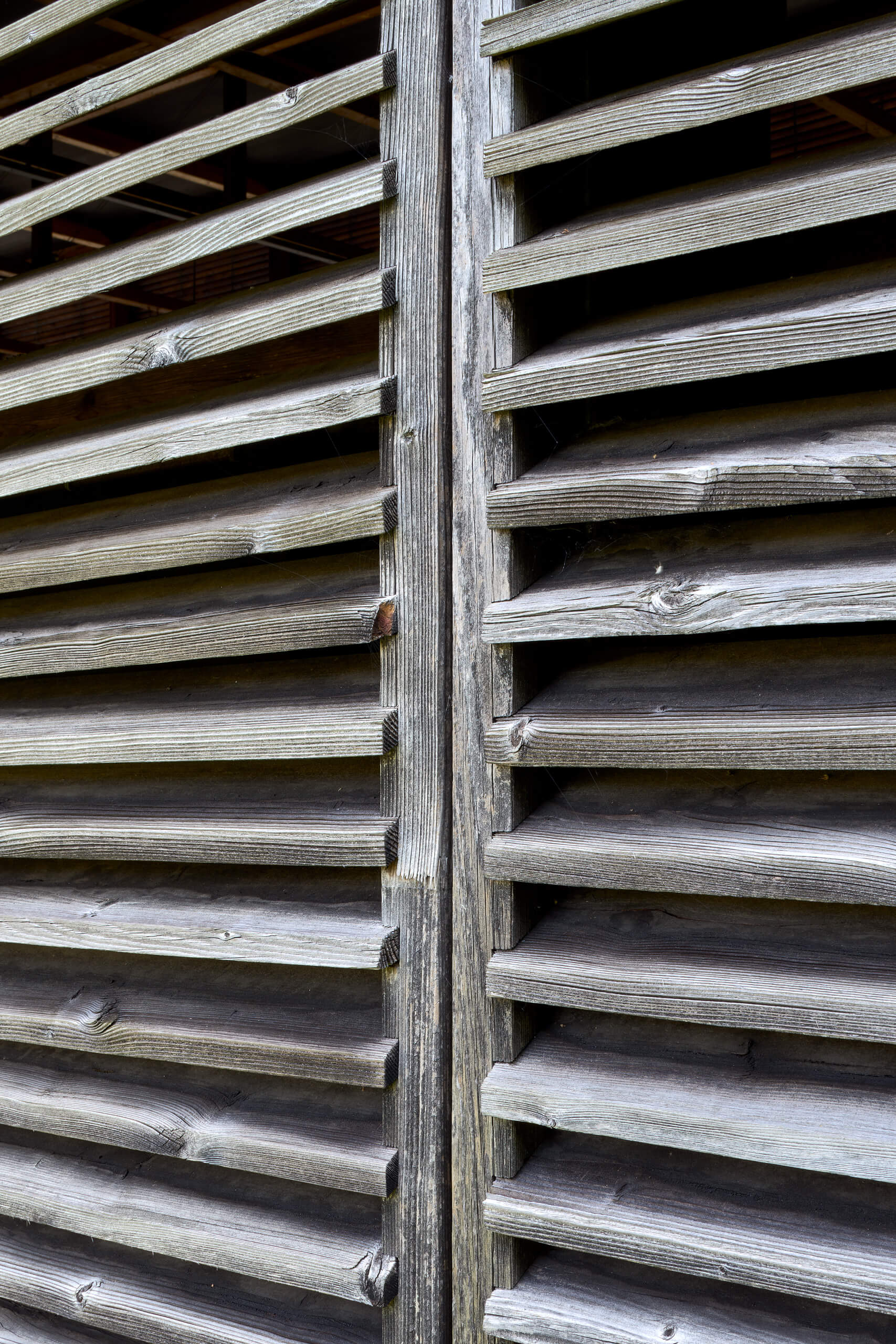 Shelters For Roman Archaeological Site – Peter Zumthor –