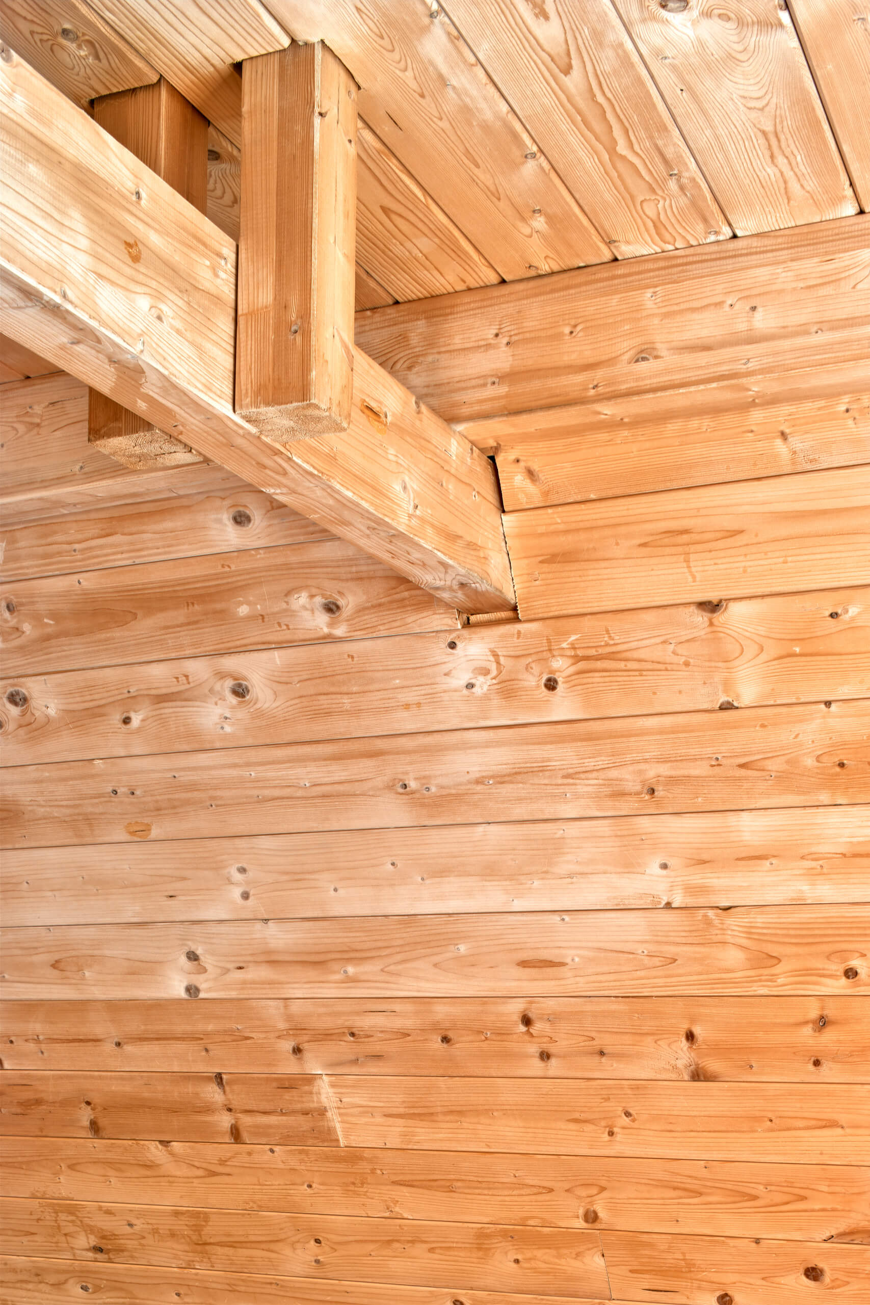 Casa Capriata – Rifugio Carlo Mollino – Architetto Carlo Mol