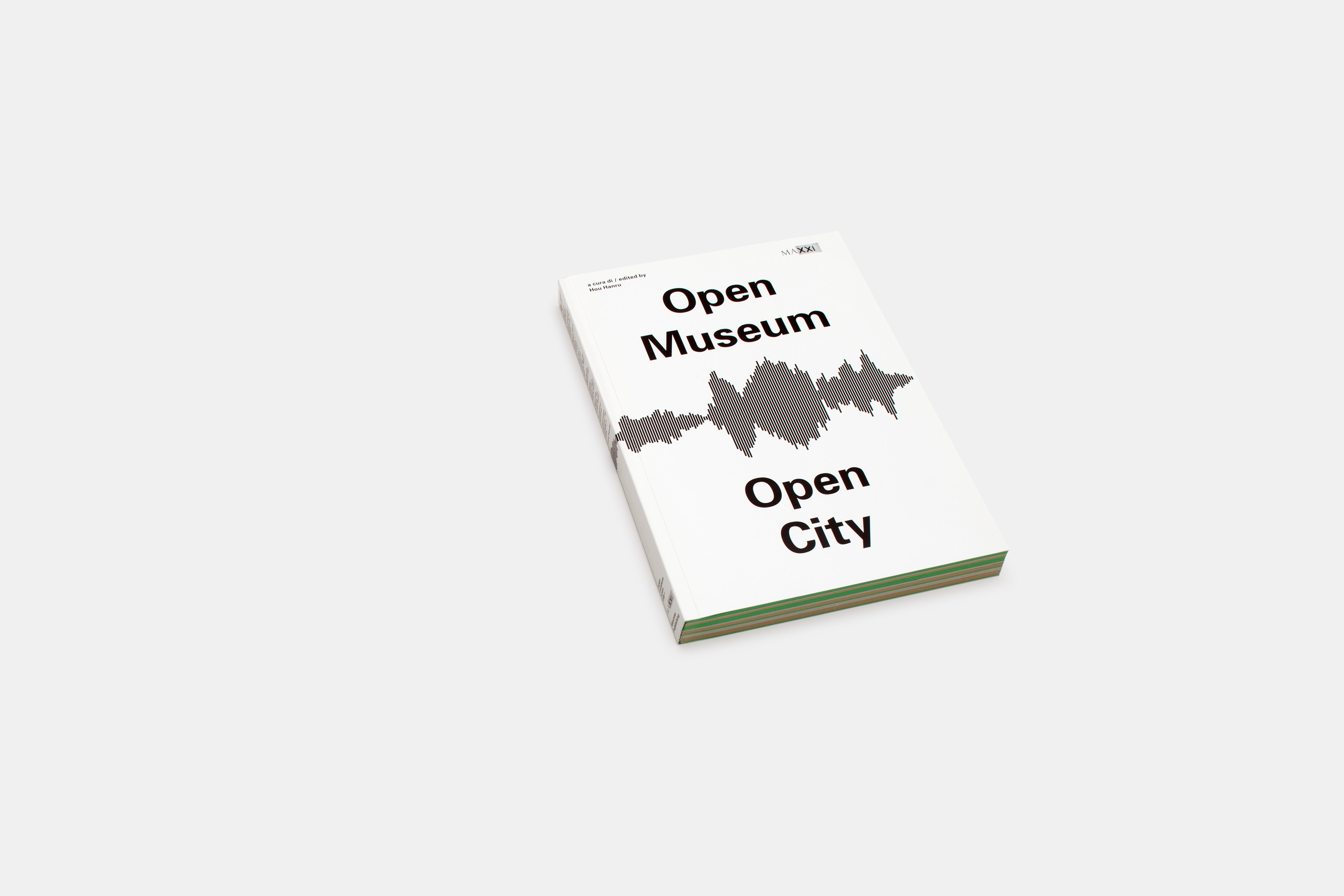 Open_Museum_Open_City_Maxxi_Documentary_Platform_2014_02