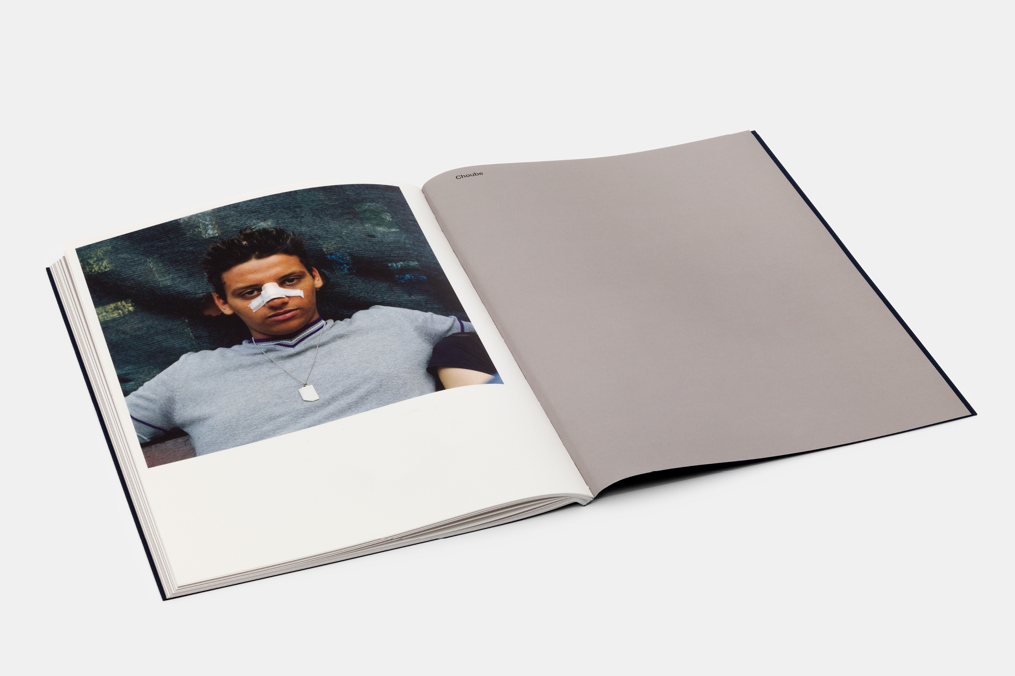Il dono e la minacia – book