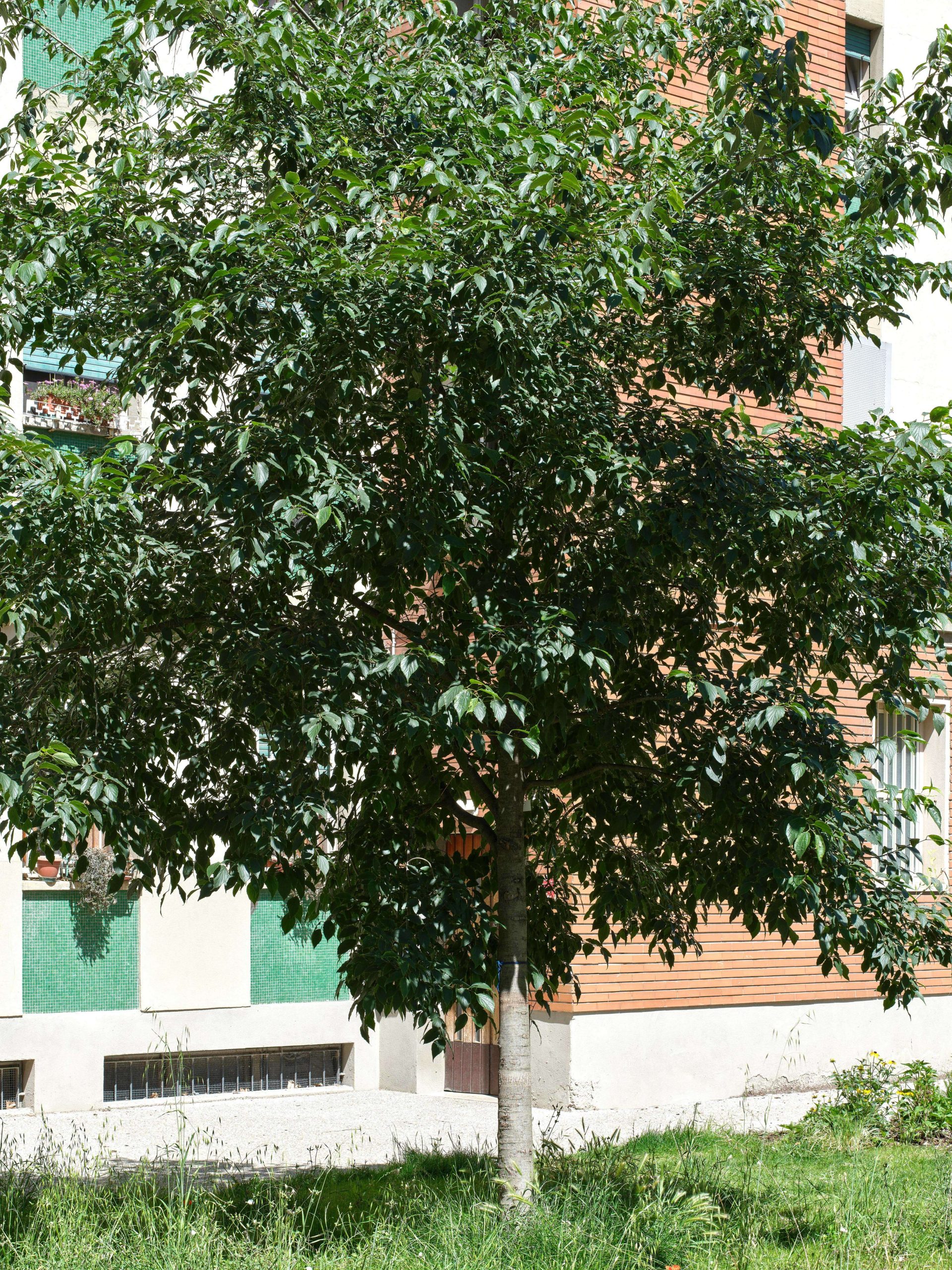 MATE Engineering – Parco delle Popolarissime – Bologna MATE Engineering – Parco delle Popolarissime – Bologna