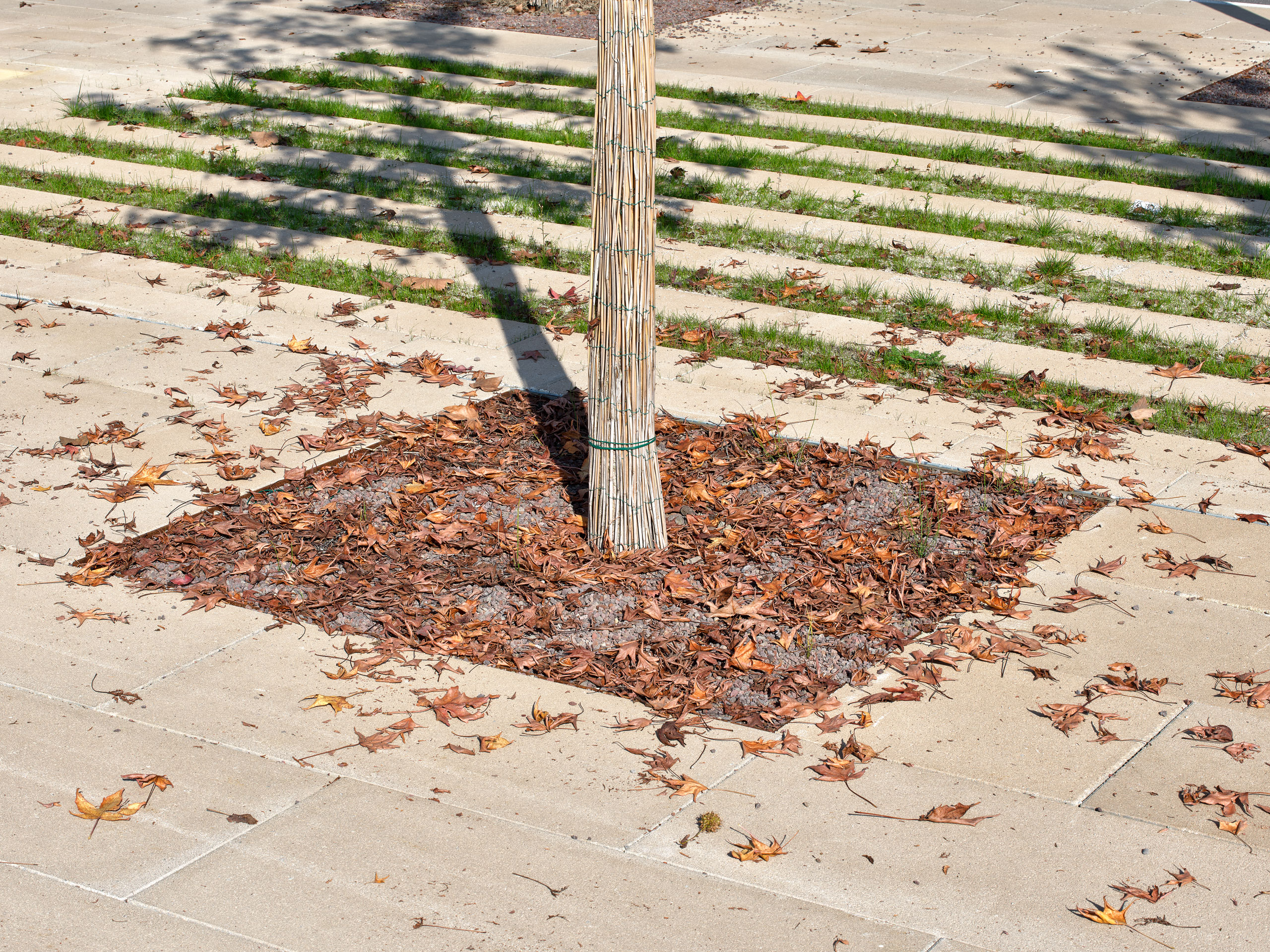 MATE – Piazza Rampari – Ferrara MATE – Piazza Rampari – Ferrara