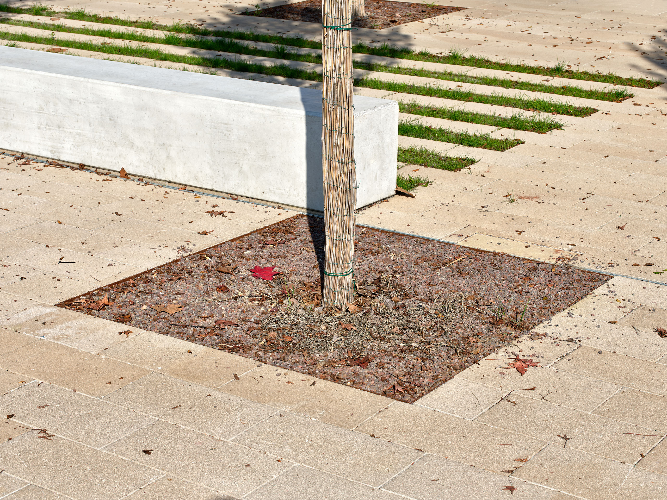 MATE – Piazza Rampari – Ferrara MATE – Piazza Rampari – Ferrara