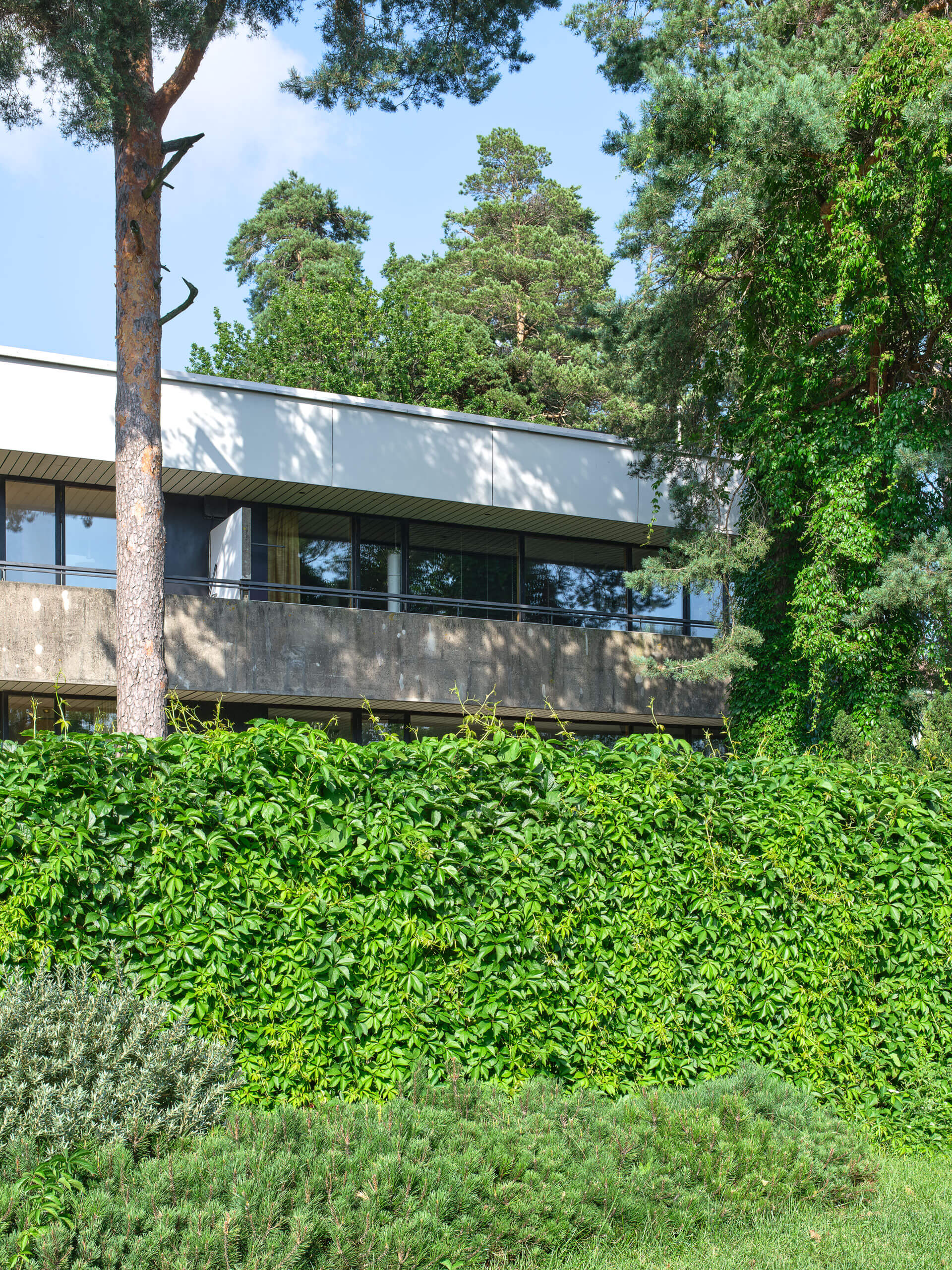 Munkkiniemenranta 37 – Arch. Viljo Ravell – Helsinki – Finland
