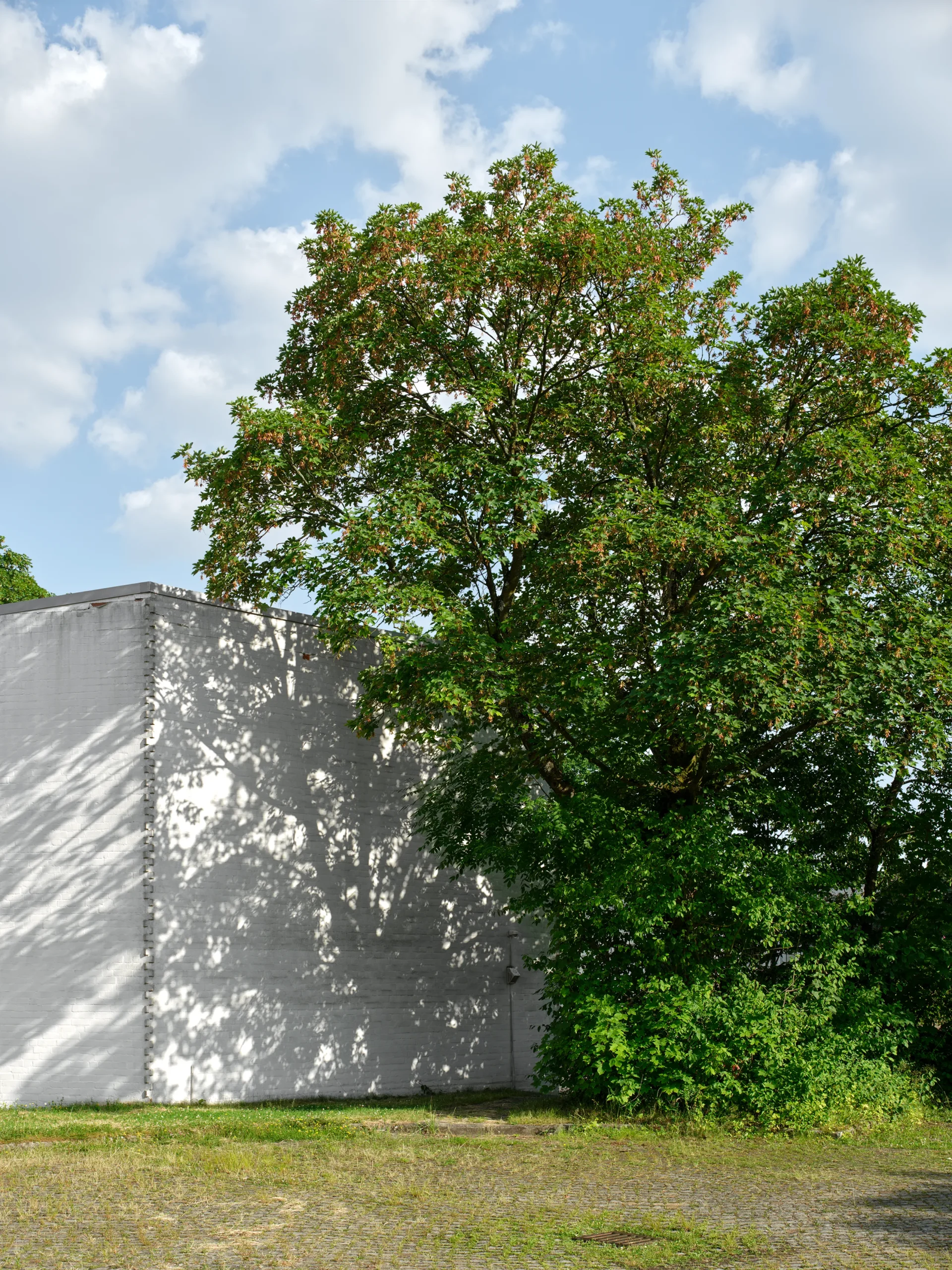 Federico-Covre_Alvar-Elissa-Aalto_Heilig-Geist-Kirche_1959-1962_Wolfsburg_DE_2026_18 Heilig-Geist-Kirche - Alvar Aalto - Wolfsburg - Germany